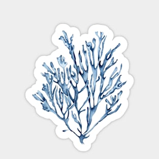 Blue seaweed Sticker